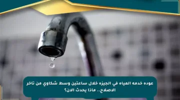 عودة خدمة المياه في الجيزة خلال ساعتين وسط شكاوى من تأخر الإصلاح.. ماذا يحدث الآن؟